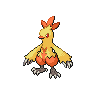 Combusken Pokemon sprite